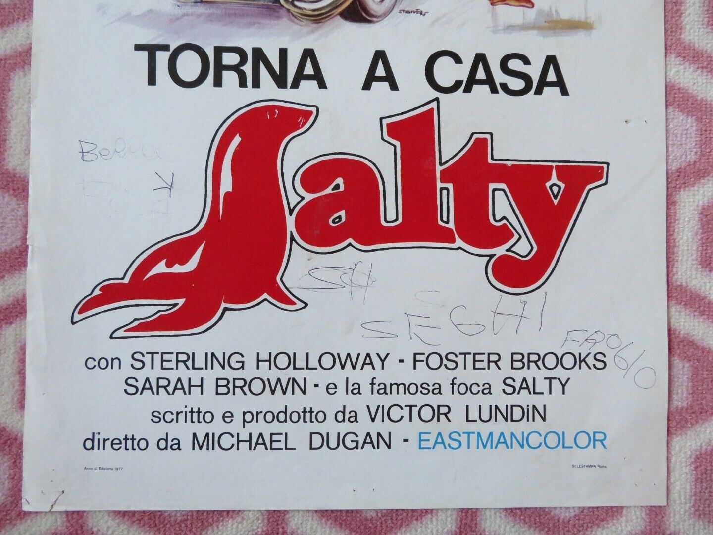 TORNA A CASA SALTY / Super Seal ITALIAN LOCANDINA (27.5"x13") POSTER 1977 Movie posters
