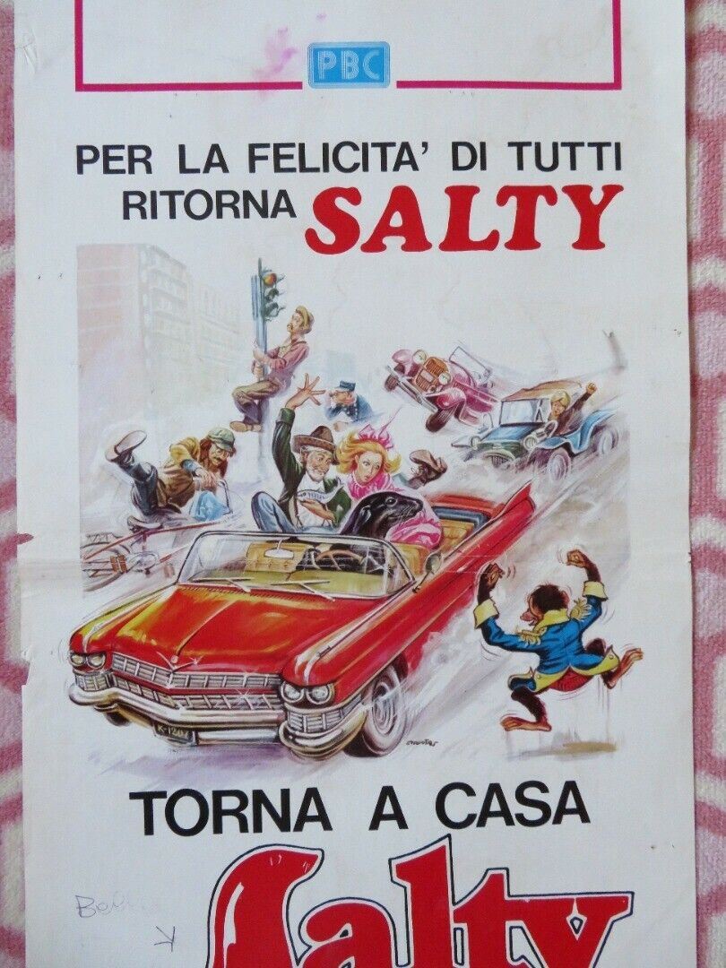 TORNA A CASA SALTY / Super Seal ITALIAN LOCANDINA (27.5"x13") POSTER 1977 Movie posters