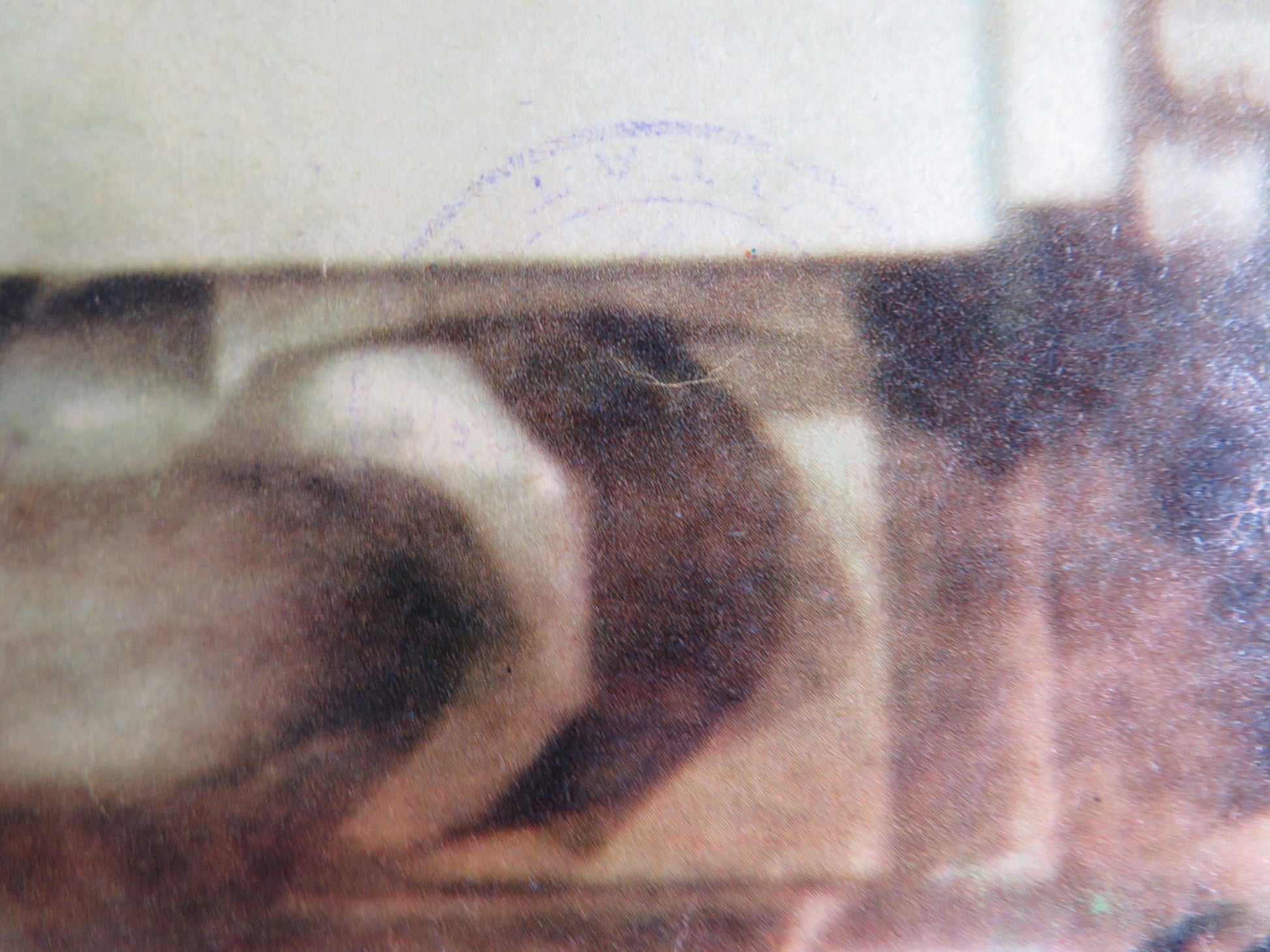 TORPEDO RUN ITALIAN FOTOBUSTA POSTER GLENN FORD ERNEST BORGNINE 1958 Rendezvous Cinema Movie posters