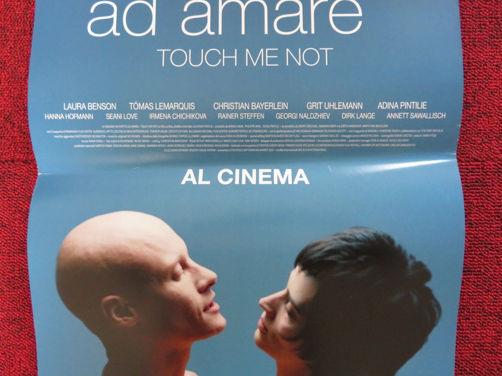 TOUCH ME NOT ITALIAN LOCANDINA POSTER LAURA BENSON TOMAS LEMARQUIS 2018 Rendezvous Cinema Movie posters