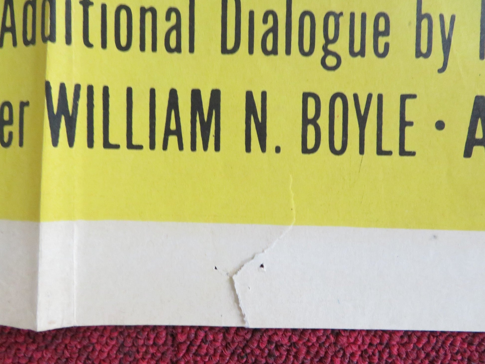 TRACK THE MAN DOWN FOLDED US ONE SHEET POSTER KENT TAYLOR PETULA CLARK 1955 Rendezvous Cinema Movie posters