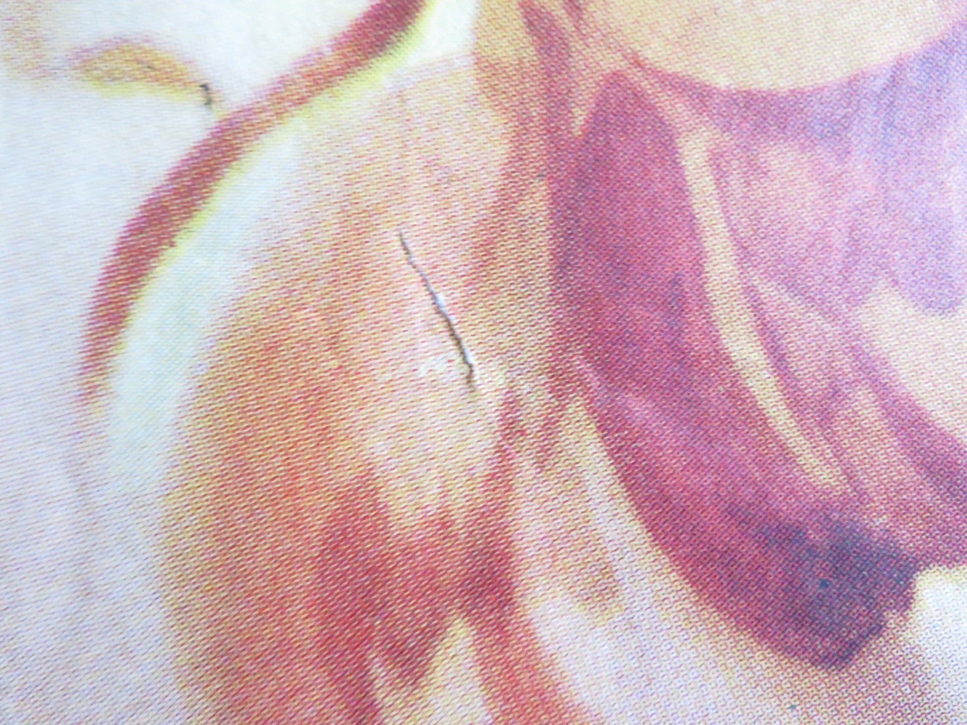 TRACK THE MAN DOWN FOLDED US ONE SHEET POSTER KENT TAYLOR PETULA CLARK 1955 Rendezvous Cinema Movie posters