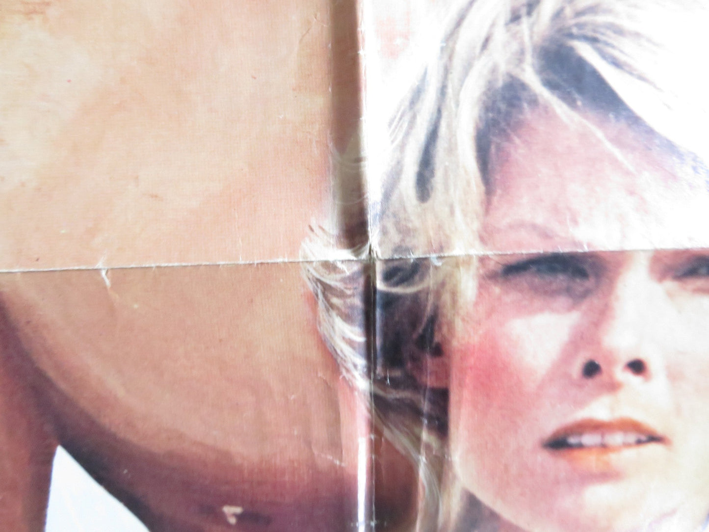 TRACKDOWN FOLDED US ONE SHEET POSTER JAMES MITCHUM KAREN LAMM 1981 Rendezvous Cinema Movie posters