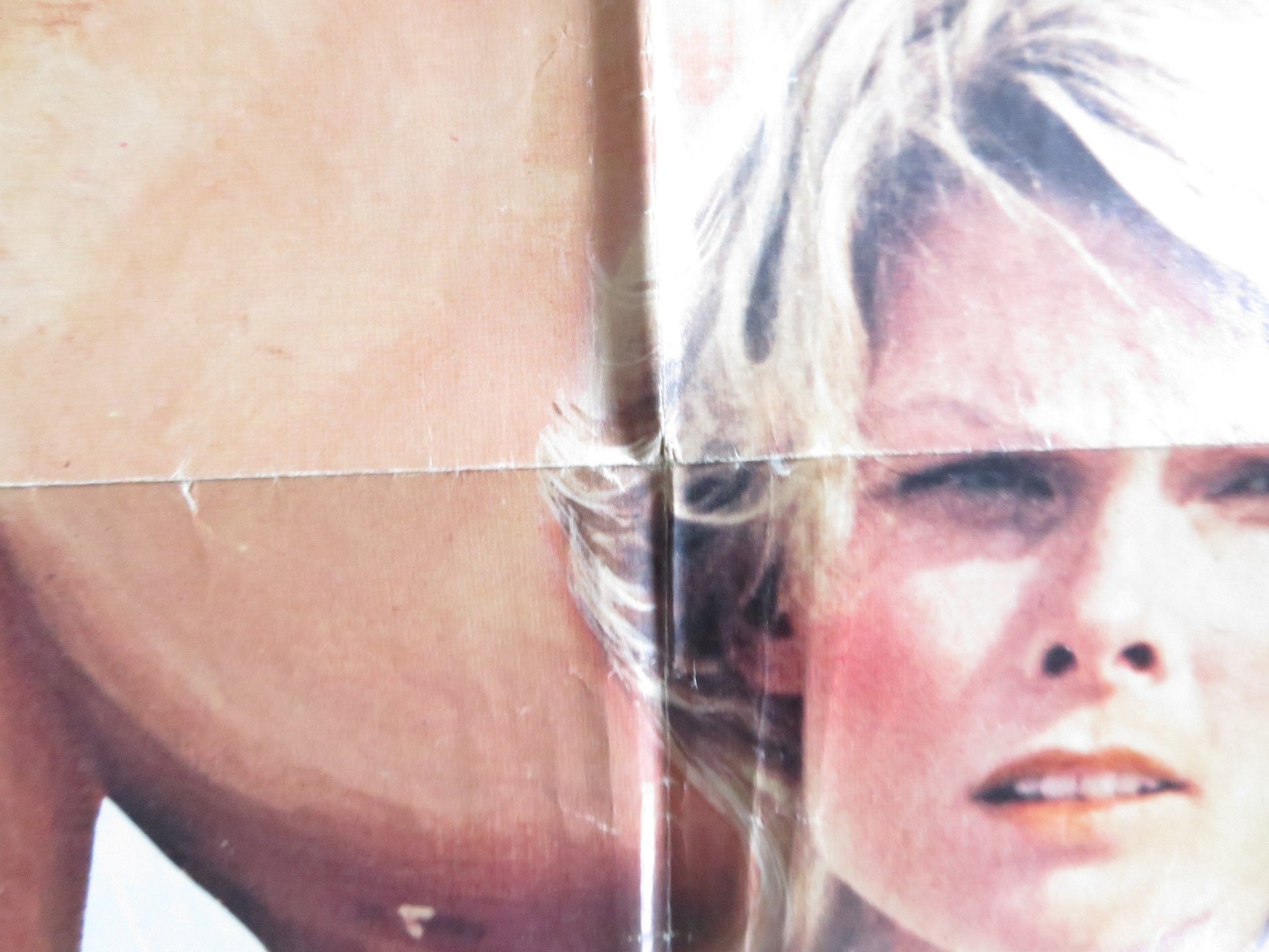 TRACKDOWN FOLDED US ONE SHEET POSTER JAMES MITCHUM KAREN LAMM 1981 Rendezvous Cinema Movie posters