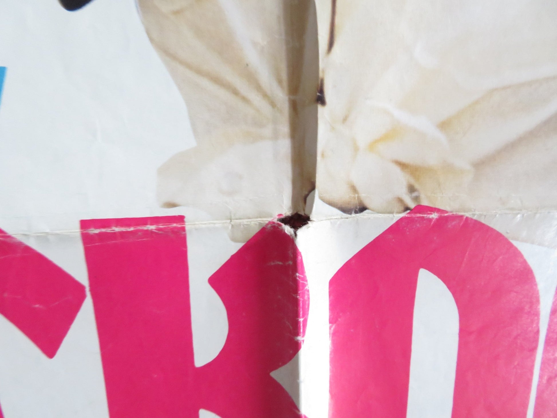 TRACKDOWN FOLDED US ONE SHEET POSTER JAMES MITCHUM KAREN LAMM 1981 Rendezvous Cinema Movie posters