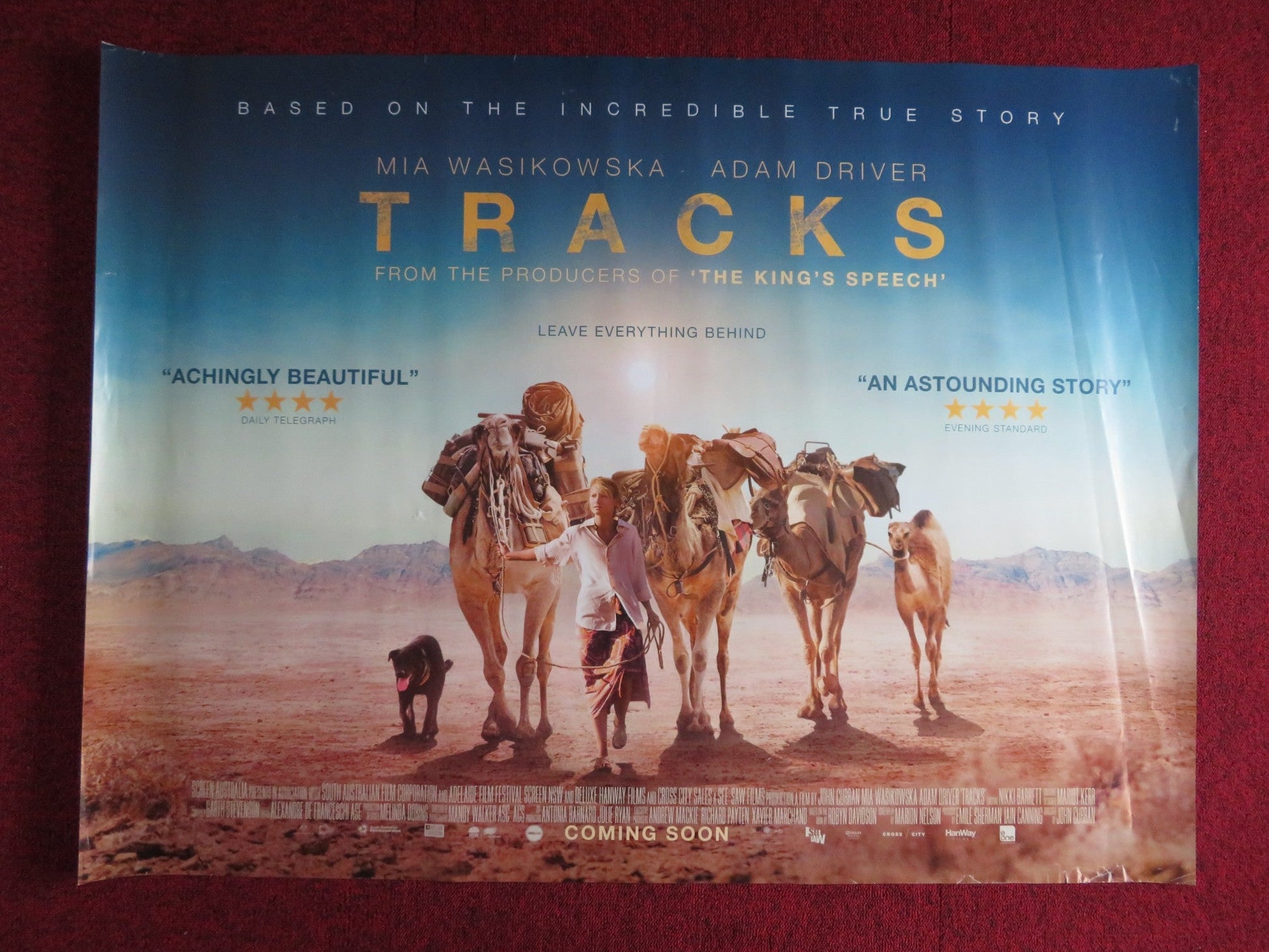 TRACKS UK QUAD (30"x 40") ROLLED POSTER ADAM DRIVER MIA WASIKOWSKA 2013 Rendezvous Cinema Movie posters