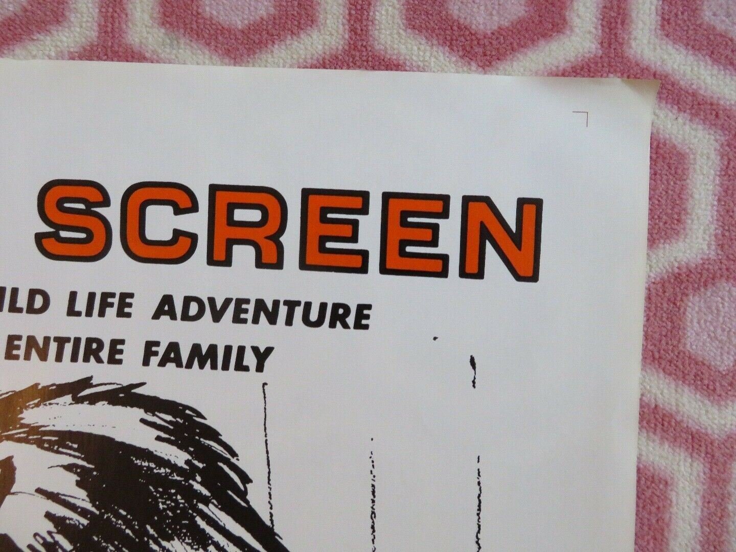 TRAIL OF THE HUNTER ONE SHEET POSTER VICTOR JORY BIG GAME HUNTING FILM 1970 - Rendezvous Cinema