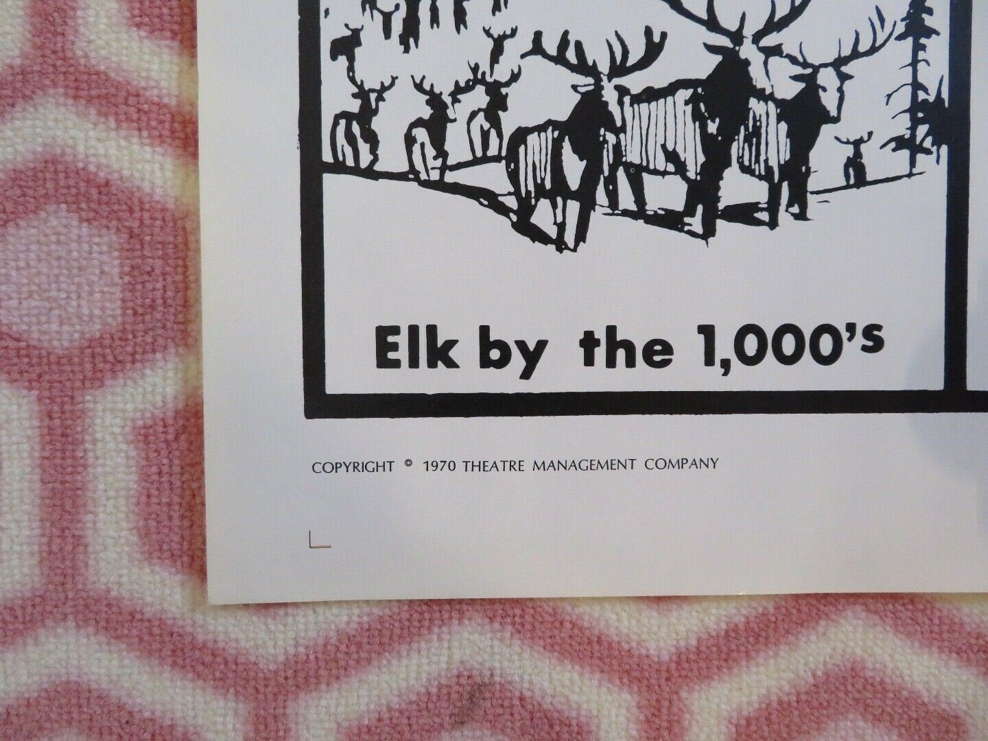 TRAIL OF THE HUNTER ONE SHEET POSTER VICTOR JORY BIG GAME HUNTING FILM 1970 - Rendezvous Cinema