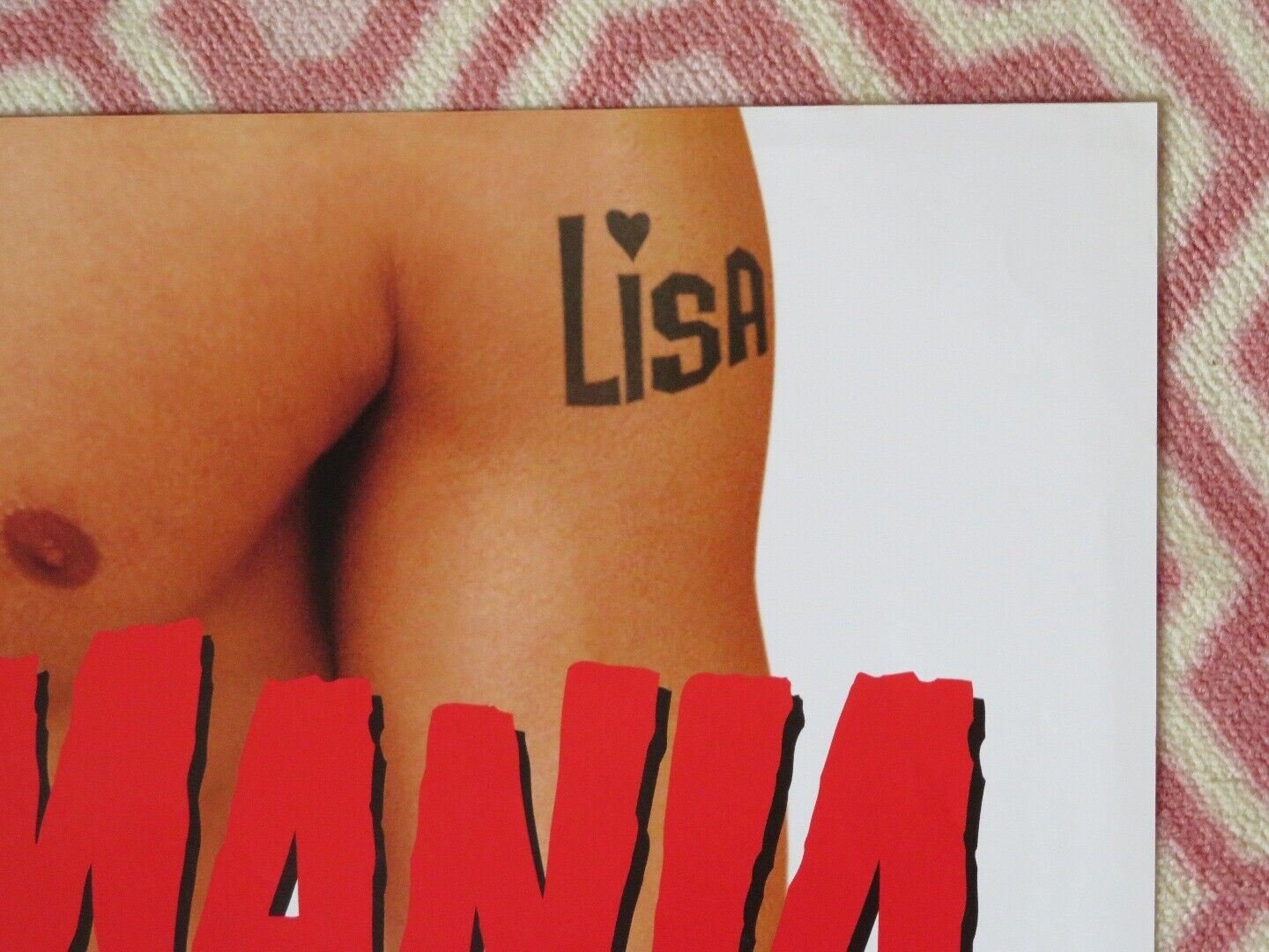 TRANSYLMANIA FOLDED US ONE SHEET POSTER JOSH MILLER 2009 Movie posters