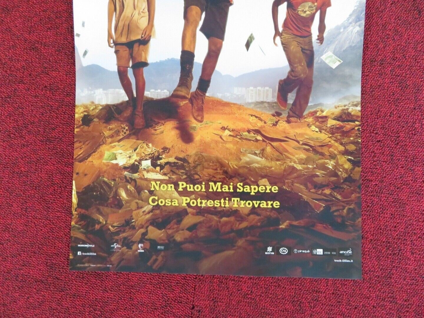 TRASH ITALIAN LOCANDINA (26.5"x12.5") POSTER MARTIN SHEEN 2014 - Rendezvous Cinema