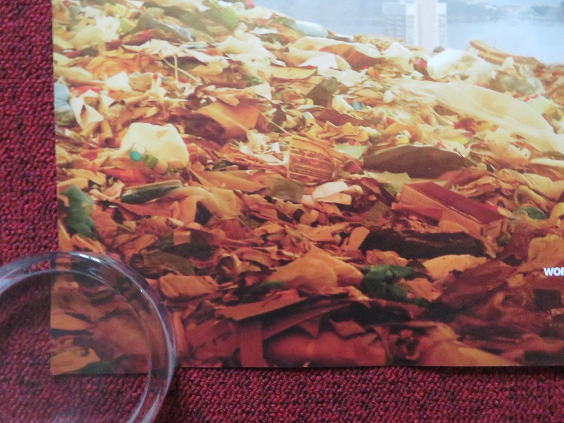 TRASH UK QUAD (30"x 40") ROLLED POSTER RICKSON TEVEZ WAGNER MOURA 2014 Rendezvous Cinema Movie posters