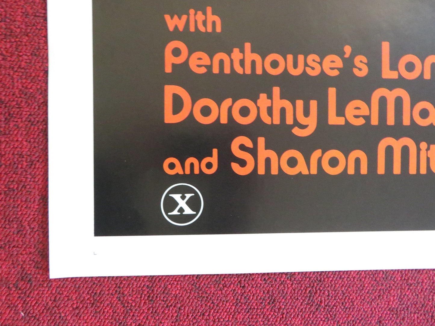 TRASHI US TRI FOLDED ONE SHEET ROLLED POSTER LISA DELEEUW JOEY SILVERA 1981 Rendezvous Cinema Movie posters