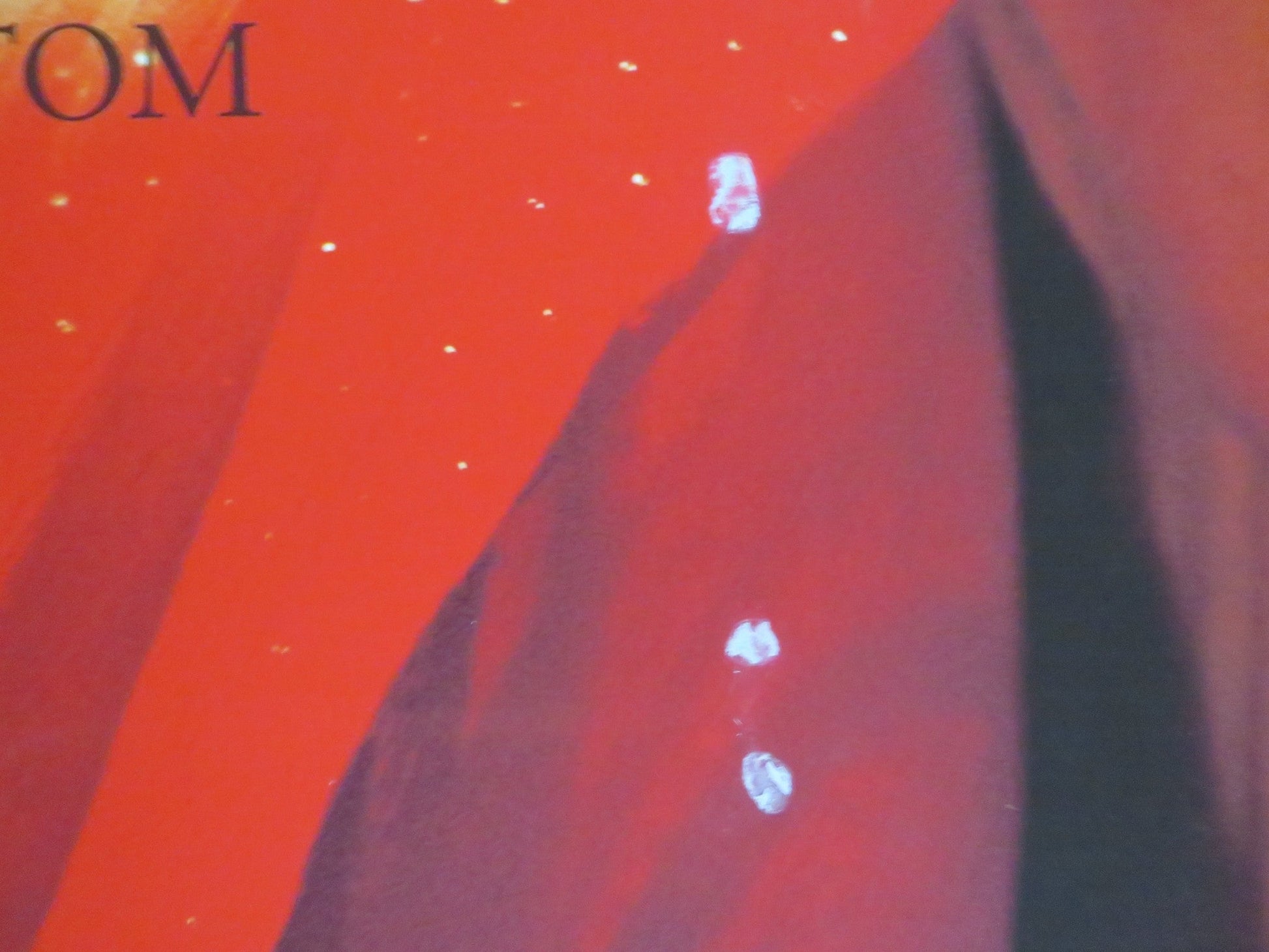 TRISHNA UK QUAD ROLLED POSTER FREIDA PINTO RIZ AHMED 2011 Rendezvous Cinema Movie posters