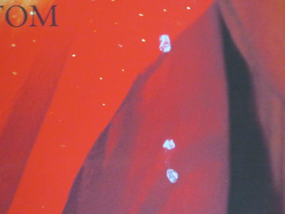 TRISHNA UK QUAD ROLLED POSTER FREIDA PINTO RIZ AHMED 2011 Rendezvous Cinema Movie posters