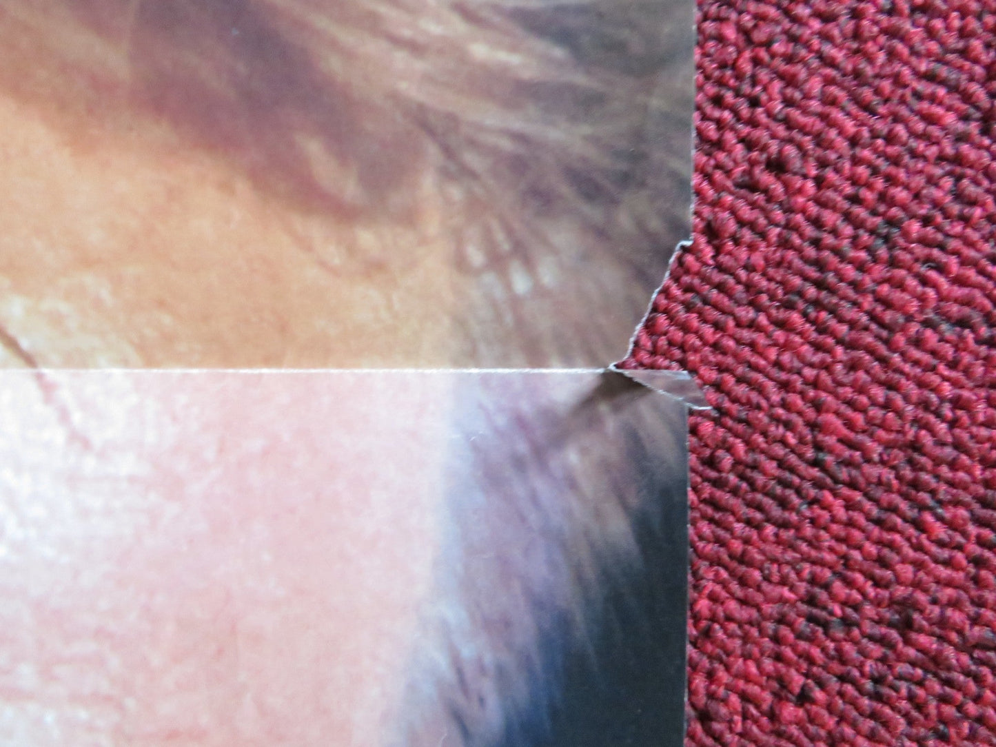 TRUE LIES - VERSION B FOLDED US ONE SHEET POSTER ARNOLD SCHWARZENEGGER 1994 Rendezvous Cinema Movie posters