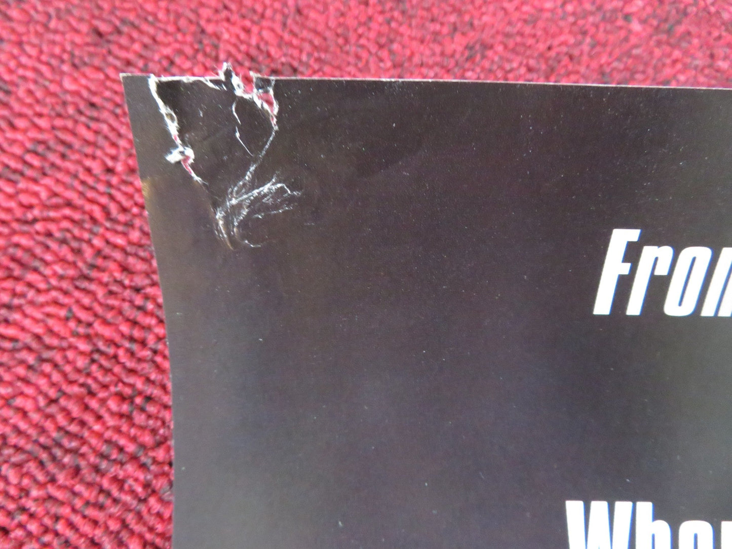 TRUE LIES VHS POSTER ARNOLD SCHWARZENEGGER JAMIE LEE CURTIS 1994 Rendezvous Cinema Movie posters