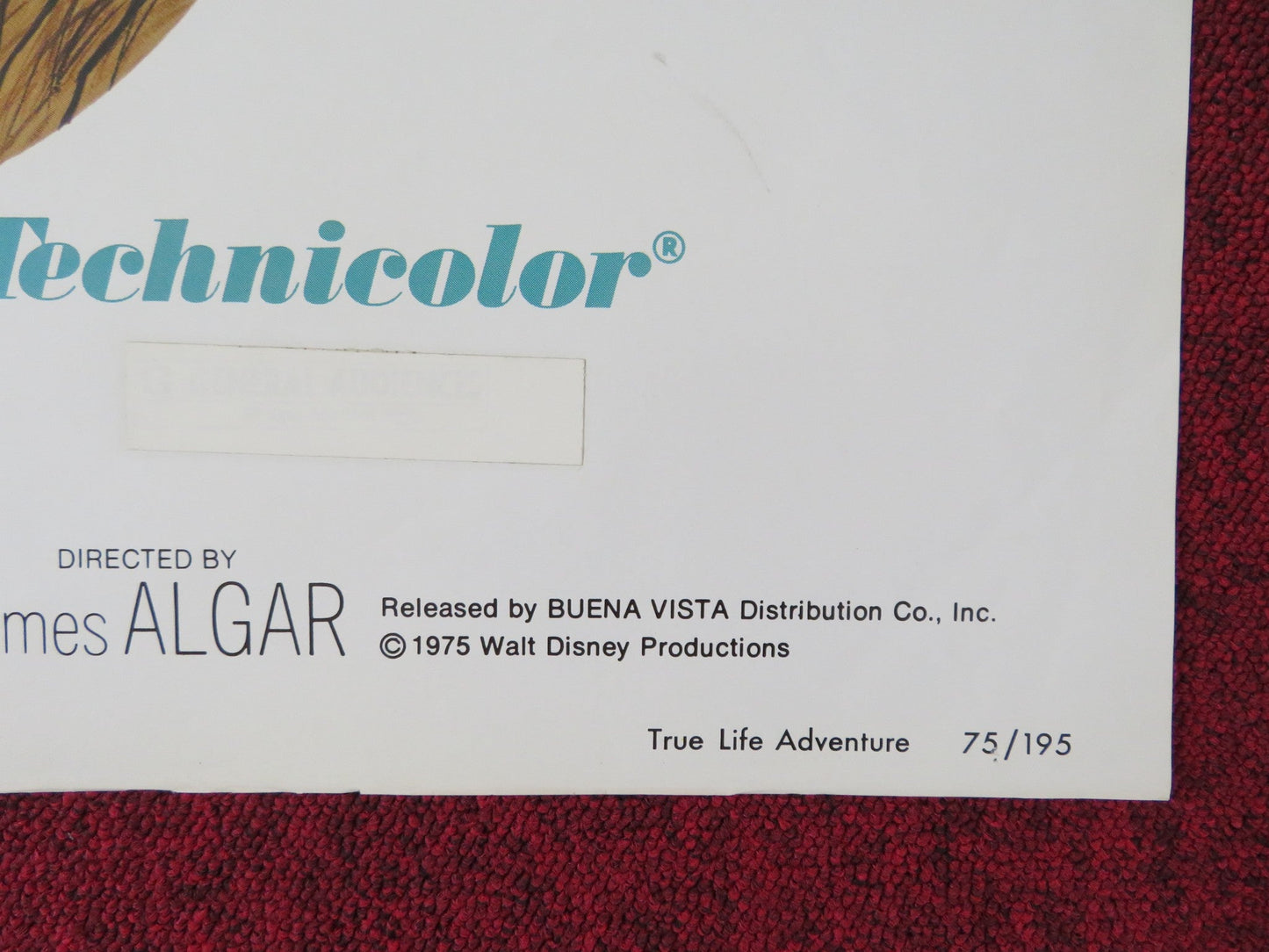 TRUE LIFE ADVENTURE THE AFRICAN LION FOLDED US ONE SHEET POSTER DISNEY 1975 Rendezvous Cinema Movie posters