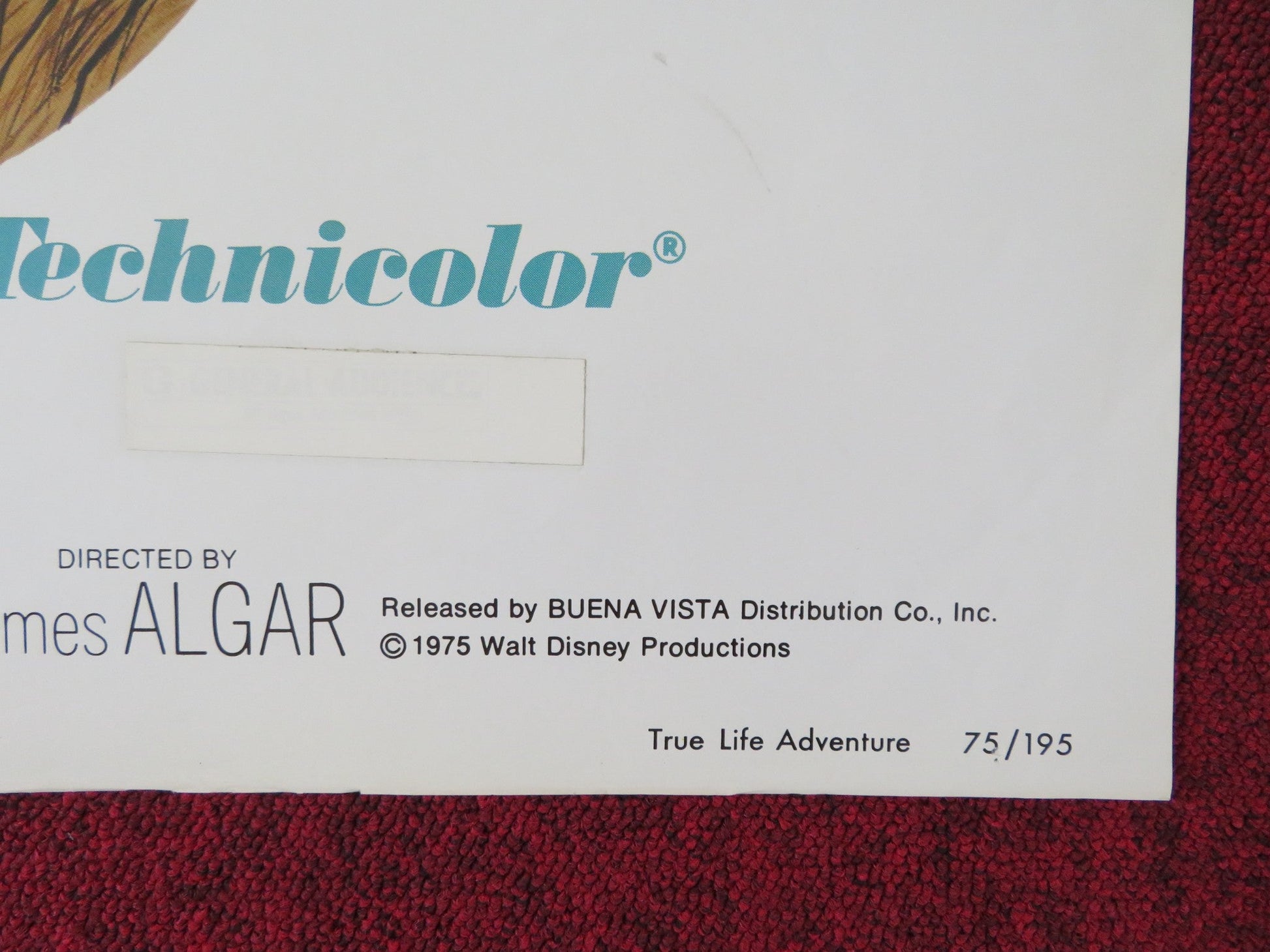 TRUE LIFE ADVENTURE THE AFRICAN LION FOLDED US ONE SHEET POSTER DISNEY 1975 Rendezvous Cinema Movie posters