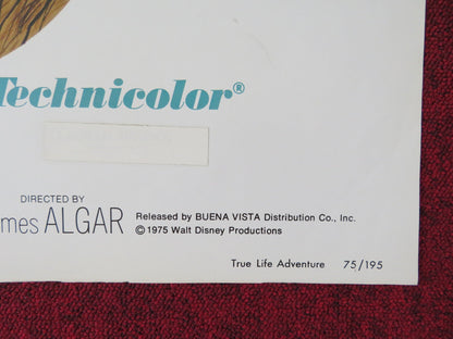 TRUE LIFE ADVENTURE THE AFRICAN LION FOLDED US ONE SHEET POSTER DISNEY 1975 Rendezvous Cinema Movie posters