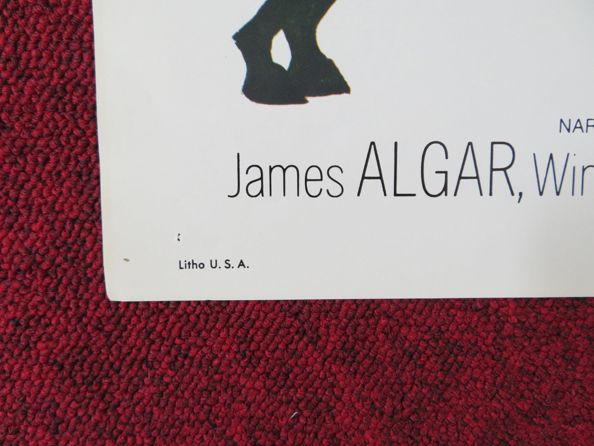 TRUE LIFE ADVENTURE THE AFRICAN LION FOLDED US ONE SHEET POSTER DISNEY 1975 Rendezvous Cinema Movie posters