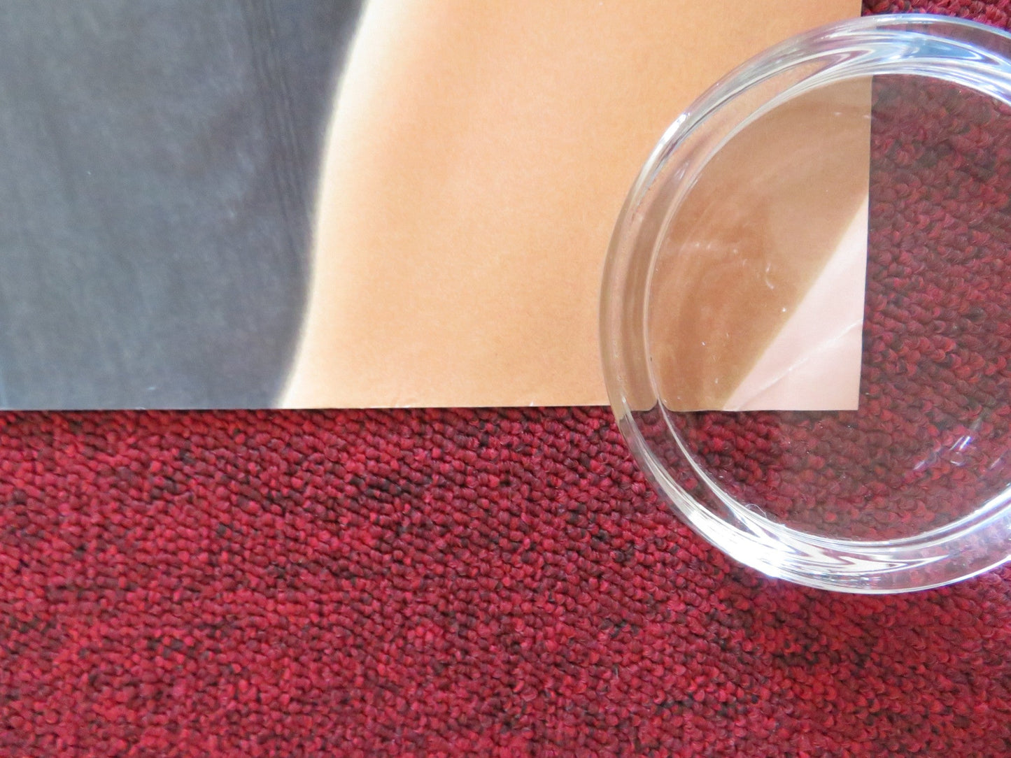 TRUST THE MAN UK QUAD (30"x 40") ROLLED POSTER DAVID DUCHOVNY J. MOORE 2005 Rendezvous Cinema Movie posters