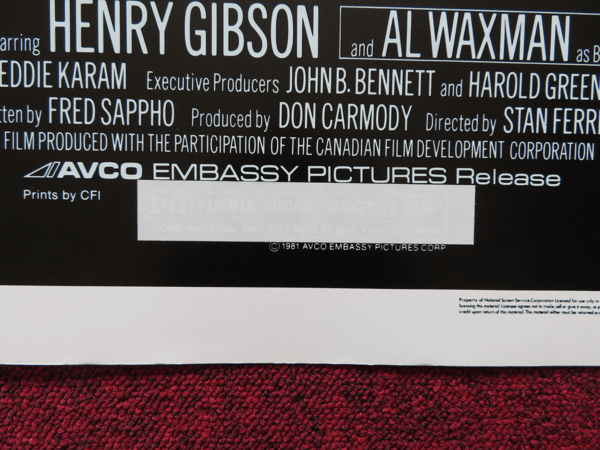 TULIPS US HALF SHEET (22"x 28") POSTER GABE KAPLAN BERNADETTE PETERS 1981 Rendezvous Cinema Movie posters