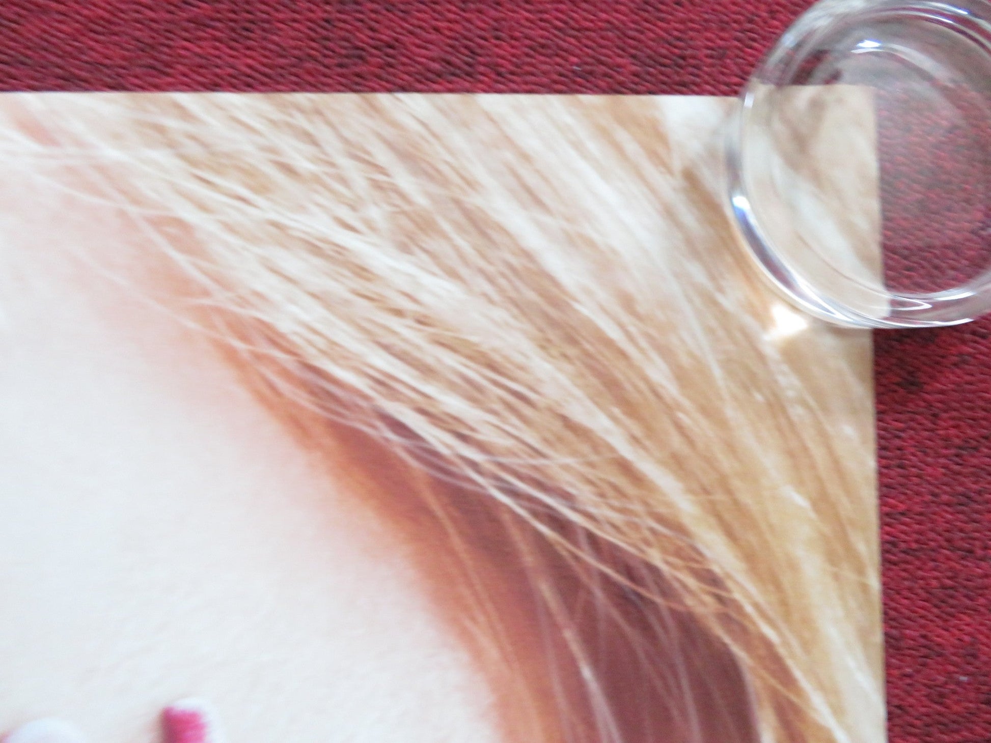 TULLY UK QUAD (30"x 40") ROLLED POSTER CHARLIZE THERON MACKENZIE DAVIS 2018 Rendezvous Cinema Movie posters