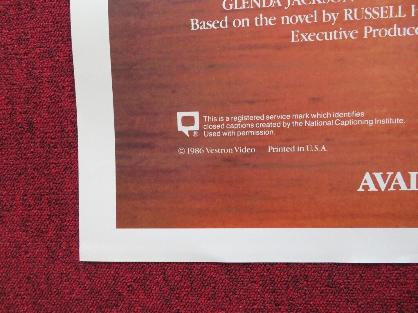 TURTLE DIARY FOLDED US ONE SHEET POSTER GLENDA JACKSON BEN KINGSLEY 1986 Movie posters