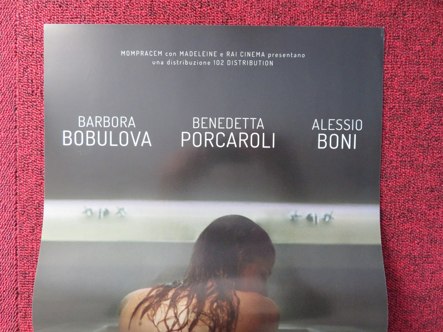 TUTTE LE MIE NOTTI ITALIAN LOCANDINA POSTER BARBORA BOBULOVA B. PORCAROLI 2018 Rendezvous Cinema Movie posters