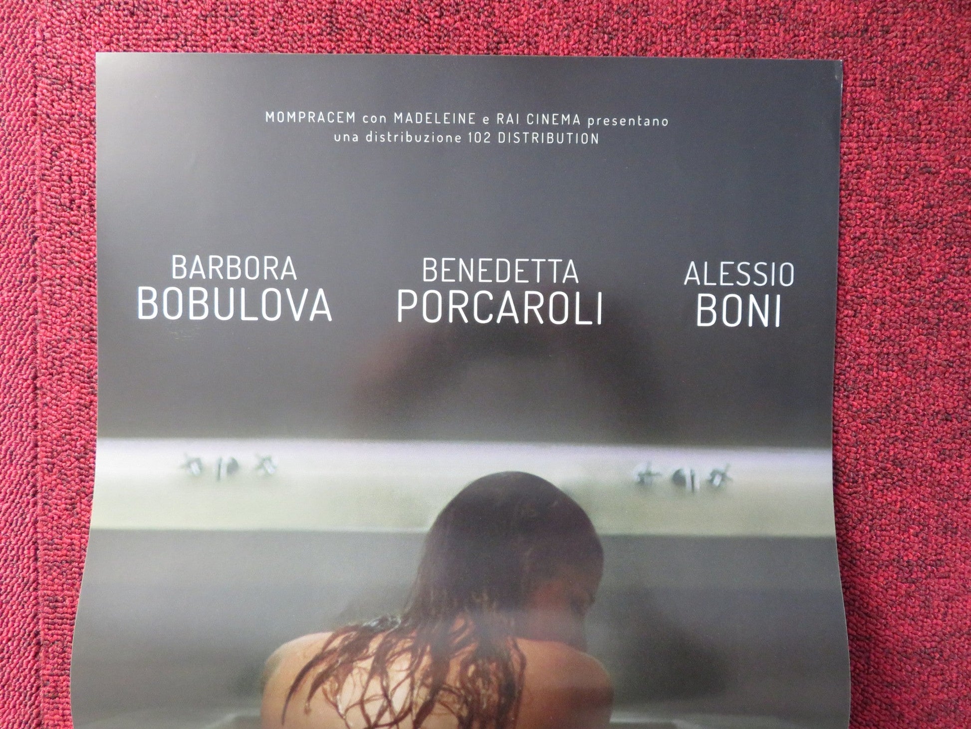 TUTTE LE MIE NOTTI ITALIAN LOCANDINA POSTER BARBORA BOBULOVA B. PORCAROLI 2018 Rendezvous Cinema Movie posters