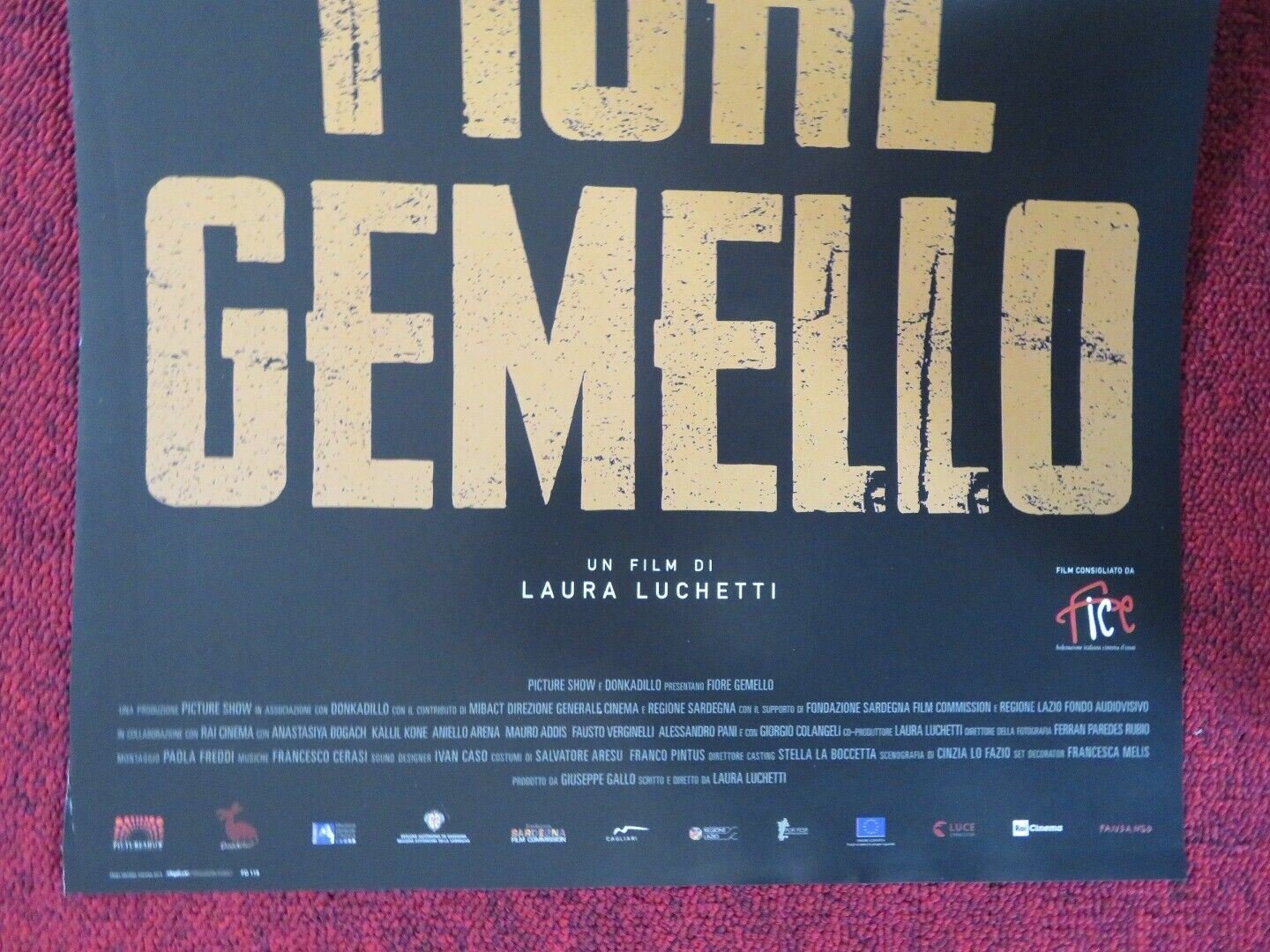 TWIN FLOWER ITALIAN LOCANDINA (26.5"x12.5") POSTER LAURA LUCHETTI 2018 - Rendezvous Cinema