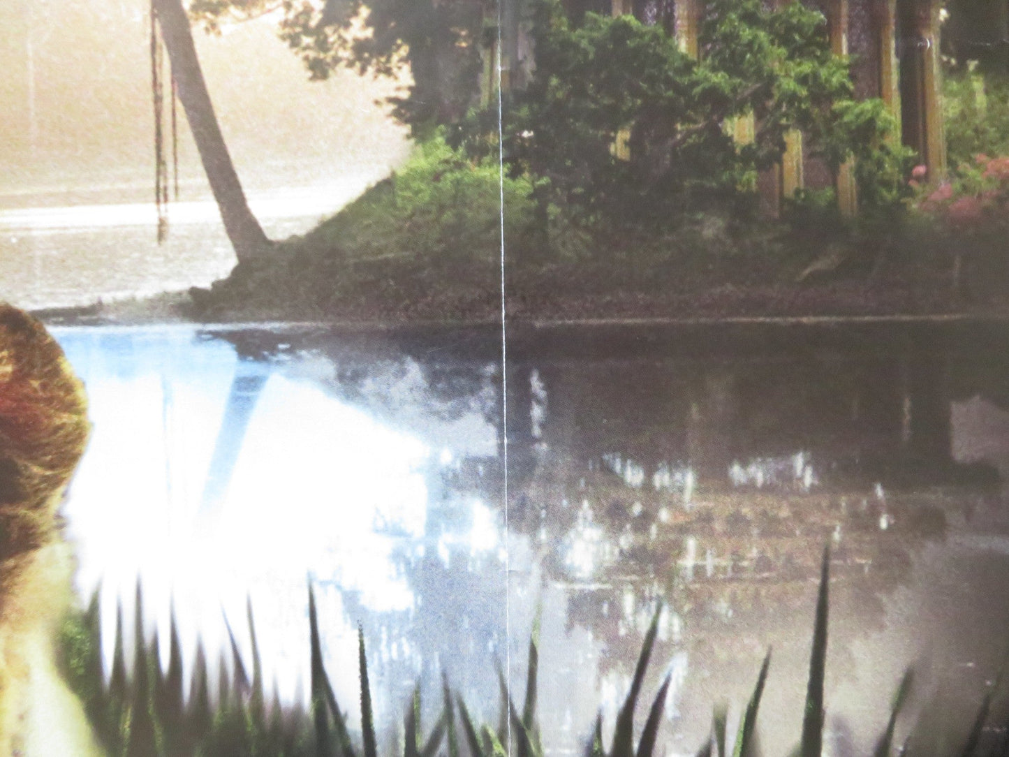 TWO BROTHERS UK QUAD (30"x 40") ROLLED POSTER GUY PEARCE 2004 Rendezvous Cinema Movie posters