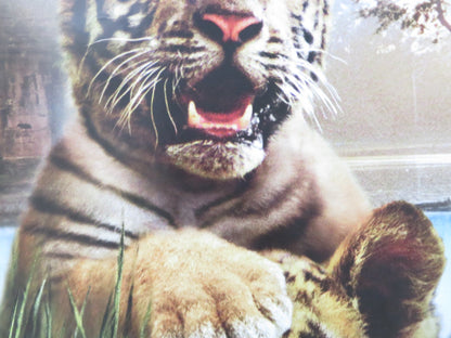 TWO BROTHERS UK QUAD (30"x 40") ROLLED POSTER GUY PEARCE 2004 Rendezvous Cinema Movie posters