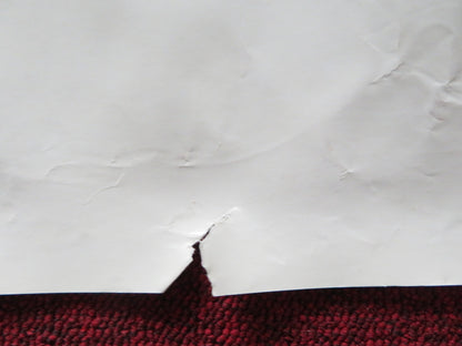 TWO LOVERS UK QUAD (30"x 40") ROLLED POSTER JOAQUIN PHOENIX GWYNETH PALTROW 2008 Rendezvous Cinema Movie posters