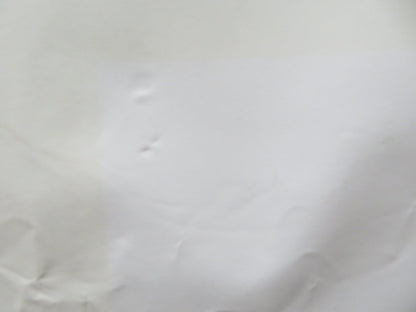 TWO LOVERS UK QUAD (30"x 40") ROLLED POSTER JOAQUIN PHOENIX GWYNETH PALTROW 2008 Rendezvous Cinema Movie posters