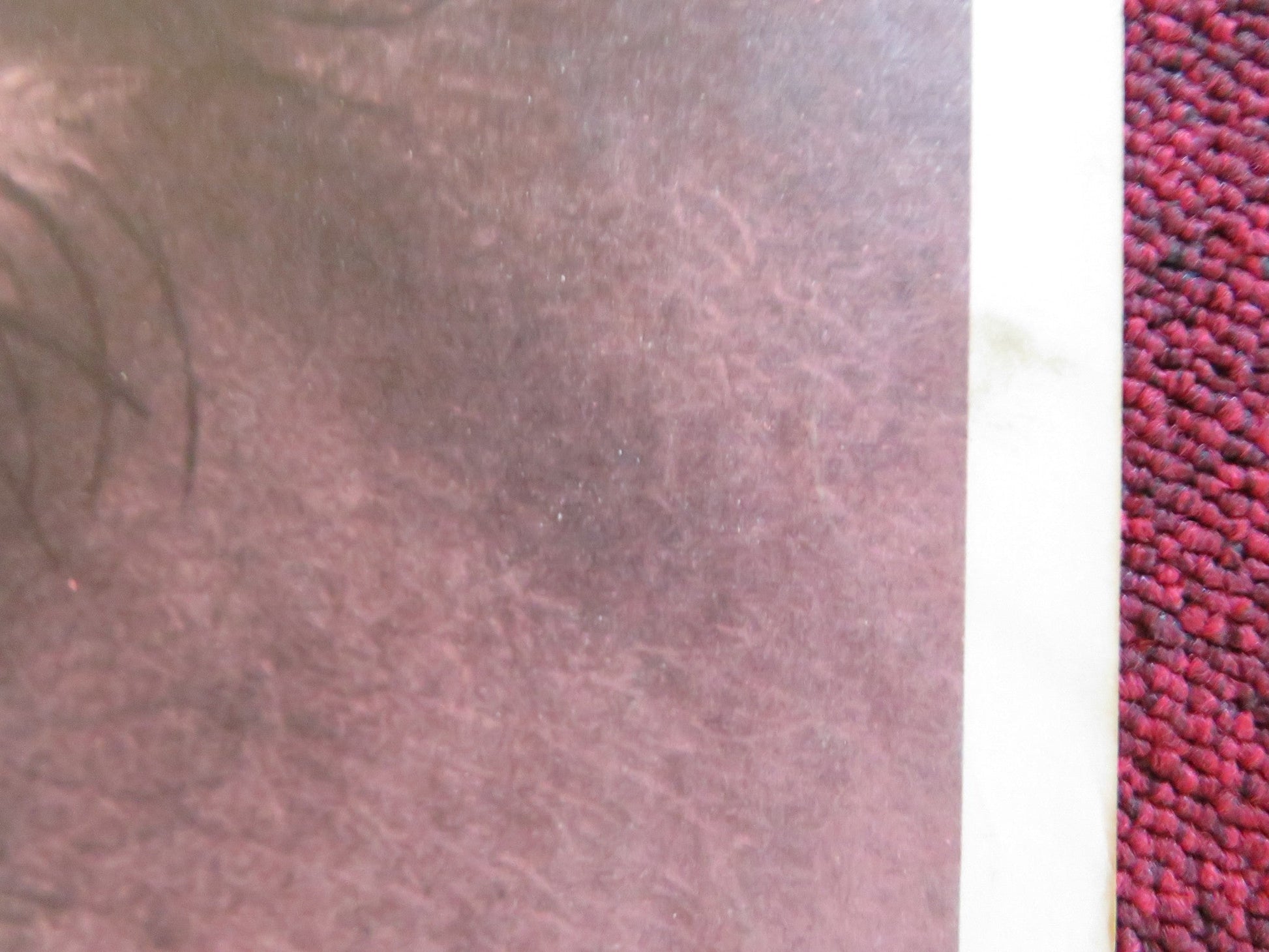 TWO ON A GUILLOTINE US INSERT (14"x 36") POSTER CONNIE STEVENS DEAN JONES 1965 Rendezvous Cinema Movie posters