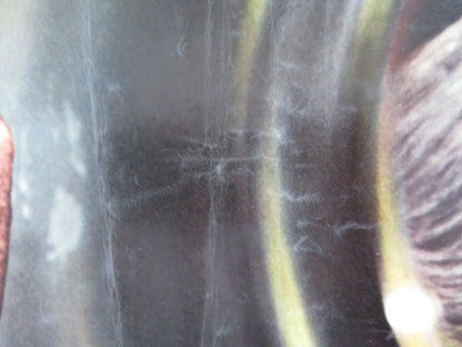 UMORISMO IN NERO - I ITALIAN FOTOBUSTA POSTER SYLVIE PIERRE BRASSEUR 1965 Rendezvous Cinema Movie posters