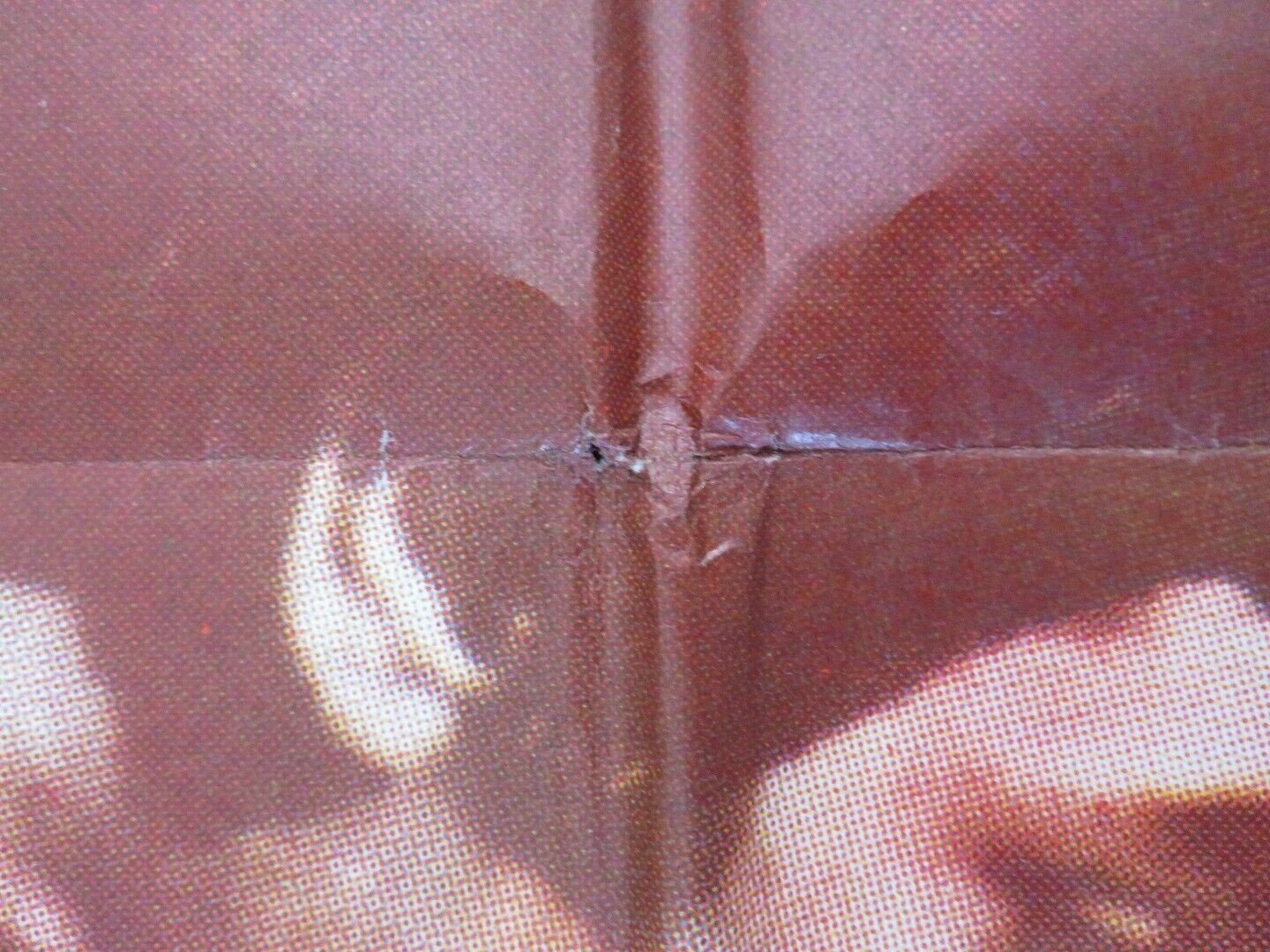 UN CASO DI COSCIENZA FOLDED ARGENTINA ONE SHEET POSTER LANDO BUZZANCA 1970 Movie posters