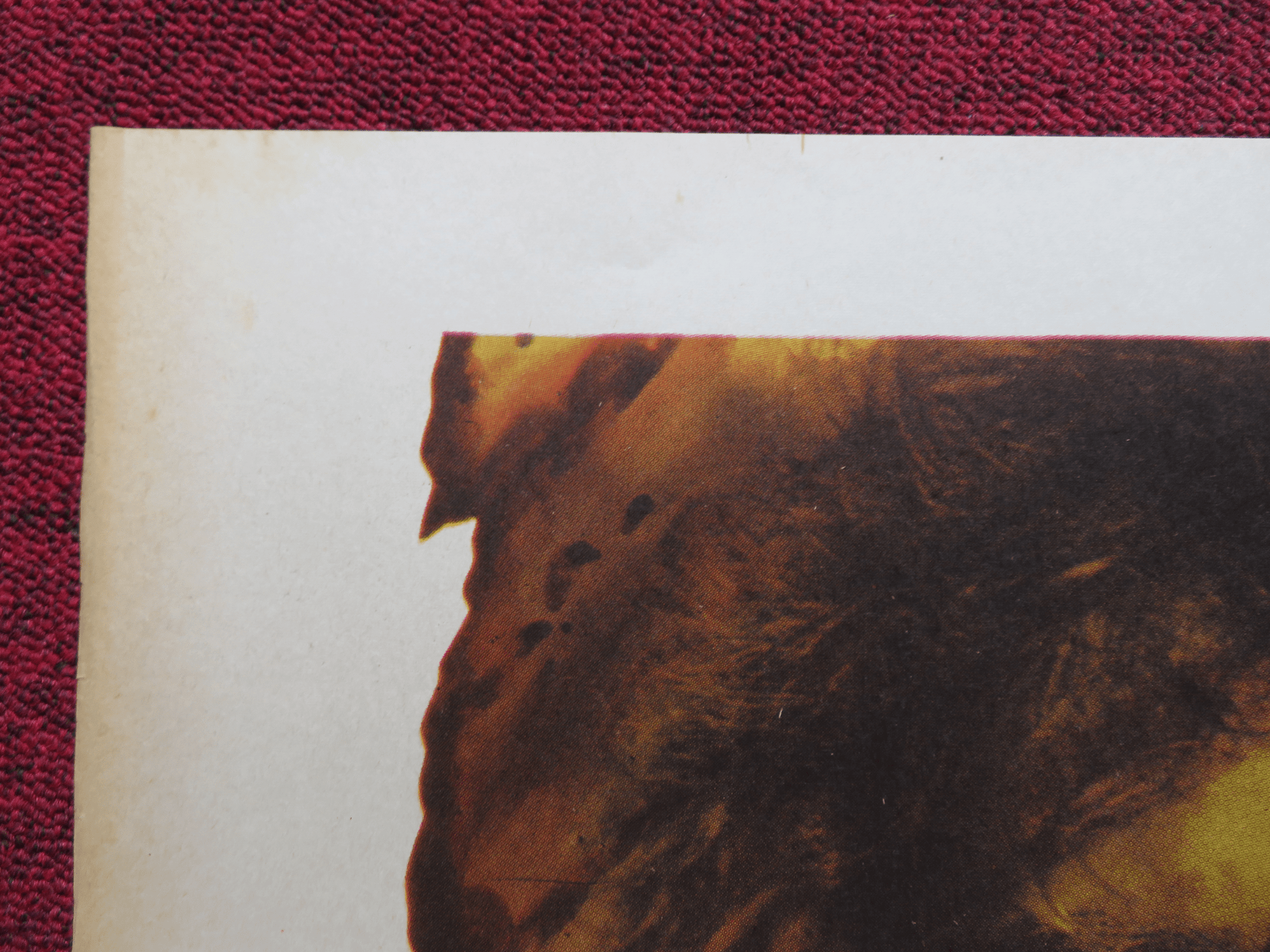 UN PIRATA DE DOCE ANOS FOLDED MEXICAN POSTER HUGO STIGLITZ AL COSTER 1972 Rendezvous Cinema Movie posters