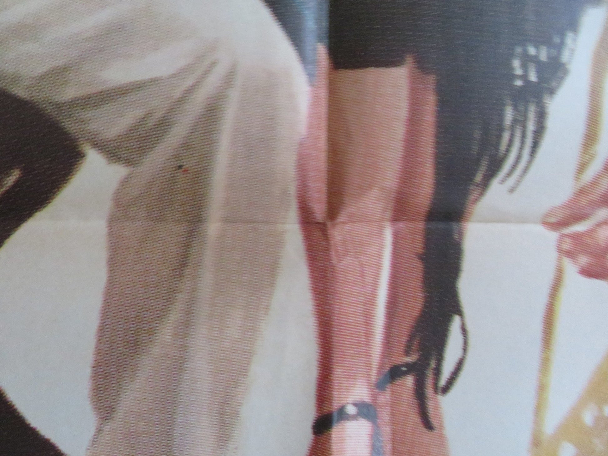 UN TORO DA MONTA ITALIAN 2 FOGLIO POSTER FEMI BENUSSI DANIELA GIORDANO 1976 Rendezvous Cinema Movie posters