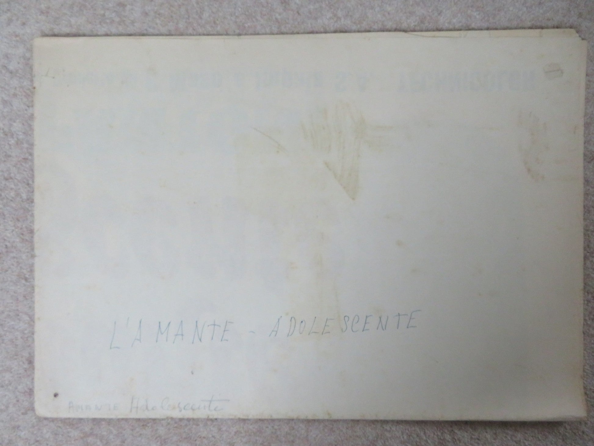 UNA CHICA Y UN SENOR ITALIAN 2 FOGLIO POSTER ORNELLA MUTI SERGIO FANTONI 1974 Rendezvous Cinema Movie posters