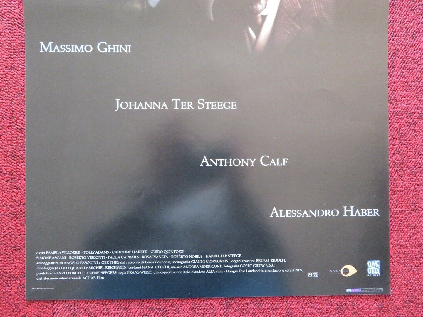 UNA DONNA DEL NORD ITALIAN LOCANDINA (27.5"x13") POSTER ANTHONY CALF 2002 Movie posters