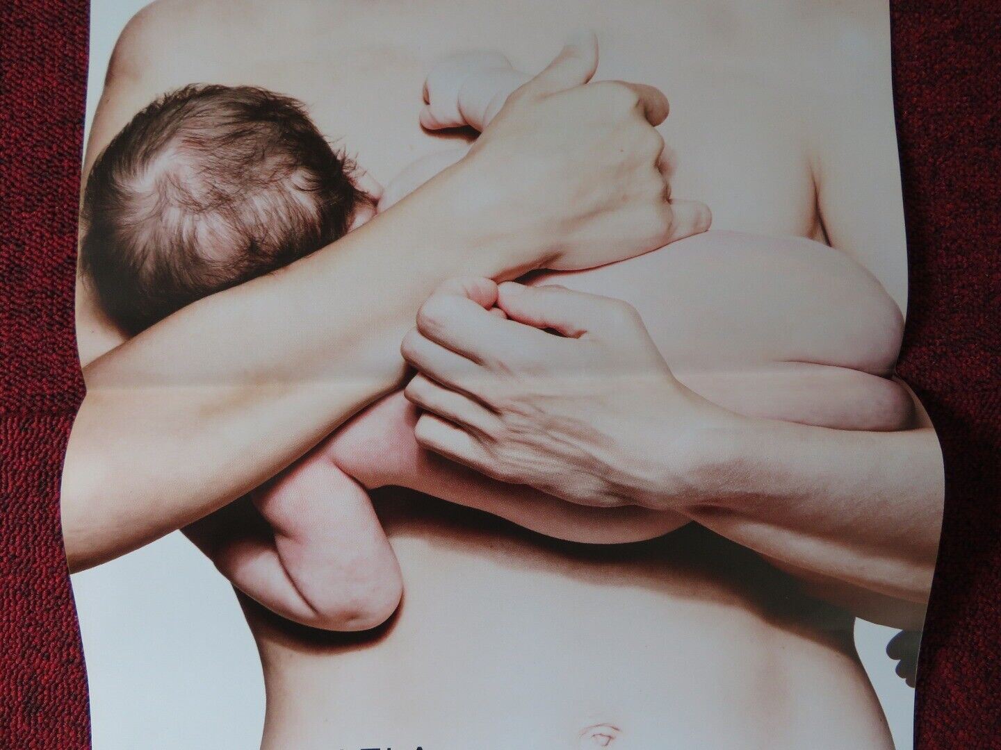 UNA FAMIGLIA ITALIAN LOCANDINA (26.5"x13") POSTER MICAELA RAMAZZOTTI 2017 Movie posters