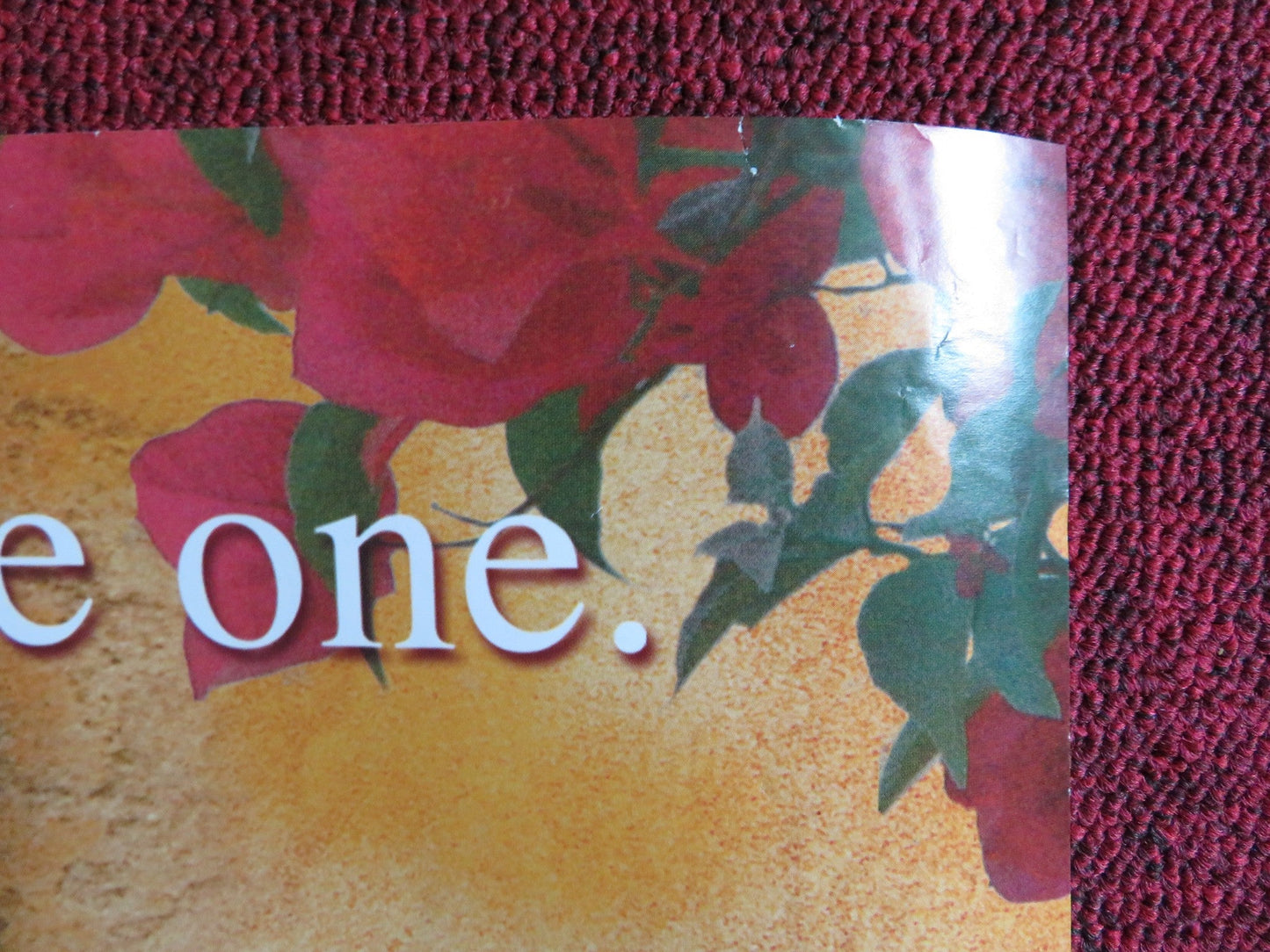 UNDER THE TUSCAN SUN UK QUAD (30"x 40") ROLLED POSTER DIANE LANE SANDRA OH 2003 Rendezvous Cinema Movie posters