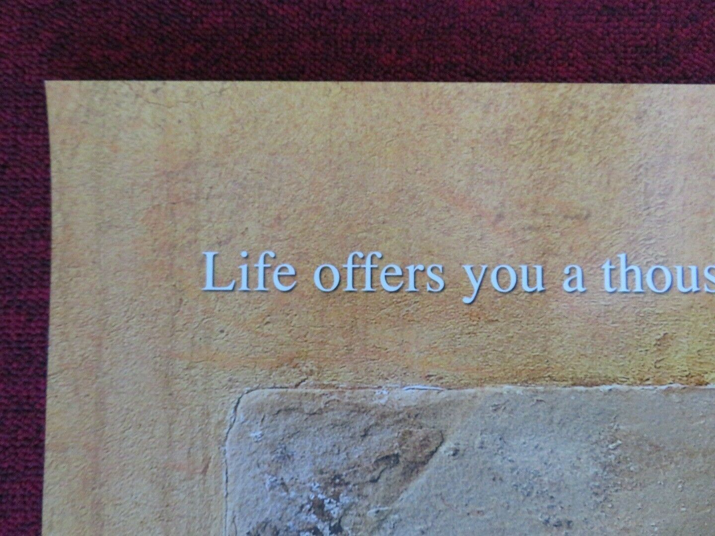 UNDER THE TUSCAN SUN US ONE SHEET ROLLED POSTER DIANE LANE SANDRA OH 2003 Movie posters