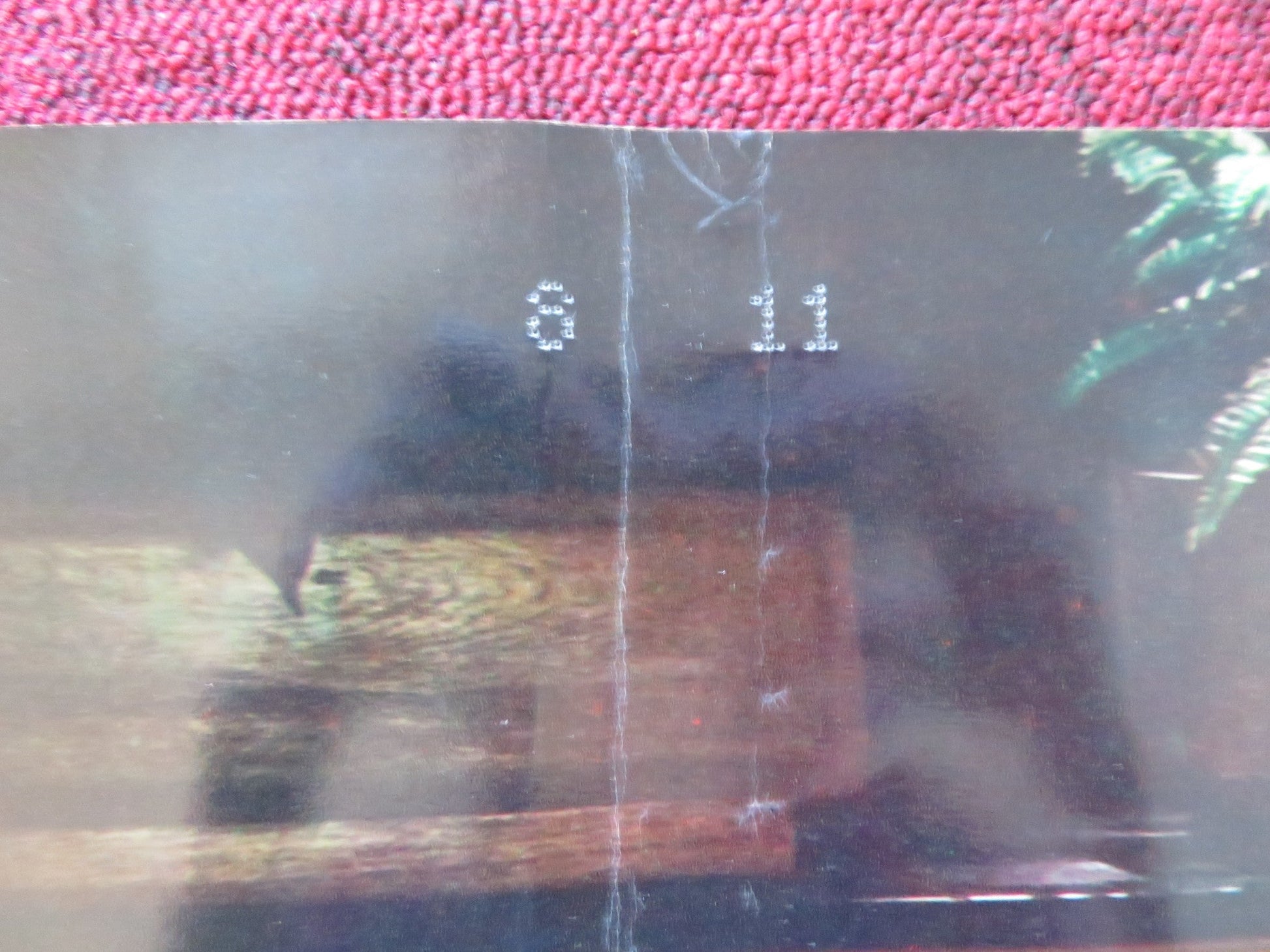 UNDER THE YUM YUM TREE - A ITALIAN FOTOBUSTA POSTER JACK LEMMON C. LYNLEY 1963 Rendezvous Cinema Movie posters