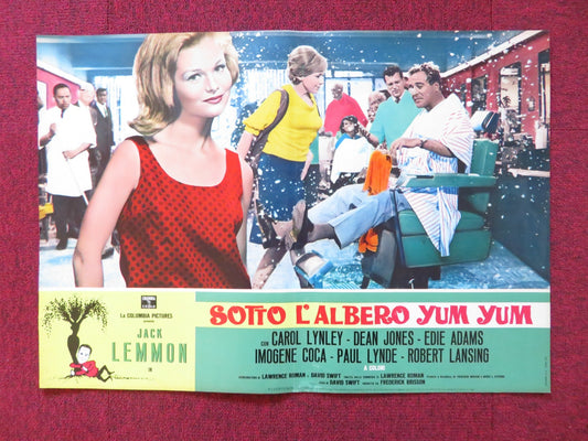 UNDER THE YUM YUM TREE - B ITALIAN FOTOBUSTA POSTER JACK LEMMON C. LYNLEY 1963 Rendezvous Cinema Movie posters