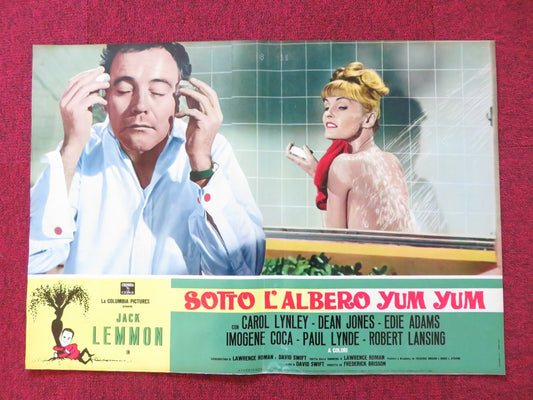 UNDER THE YUM YUM TREE - C ITALIAN FOTOBUSTA POSTER JACK LEMMON C. LYNLEY 1963 Rendezvous Cinema Movie posters