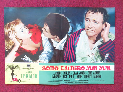 UNDER THE YUM YUM TREE - E ITALIAN FOTOBUSTA POSTER JACK LEMMON C. LYNLEY 1963 Rendezvous Cinema Movie posters