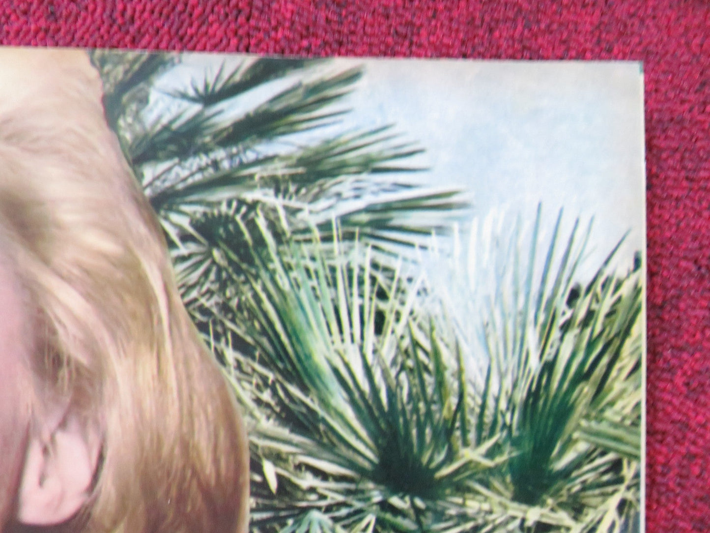 UNDER THE YUM YUM TREE - F ITALIAN FOTOBUSTA POSTER JACK LEMMON C. LYNLEY 1963 Rendezvous Cinema Movie posters